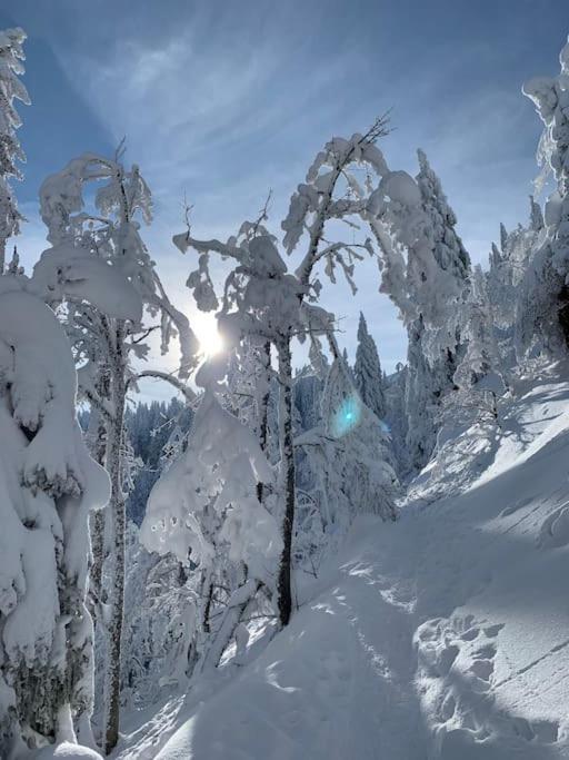 Stube9 Am Feldberg, Direkt An Der Skipiste, Ski In-Ski Out Фельдберг Экстерьер фото