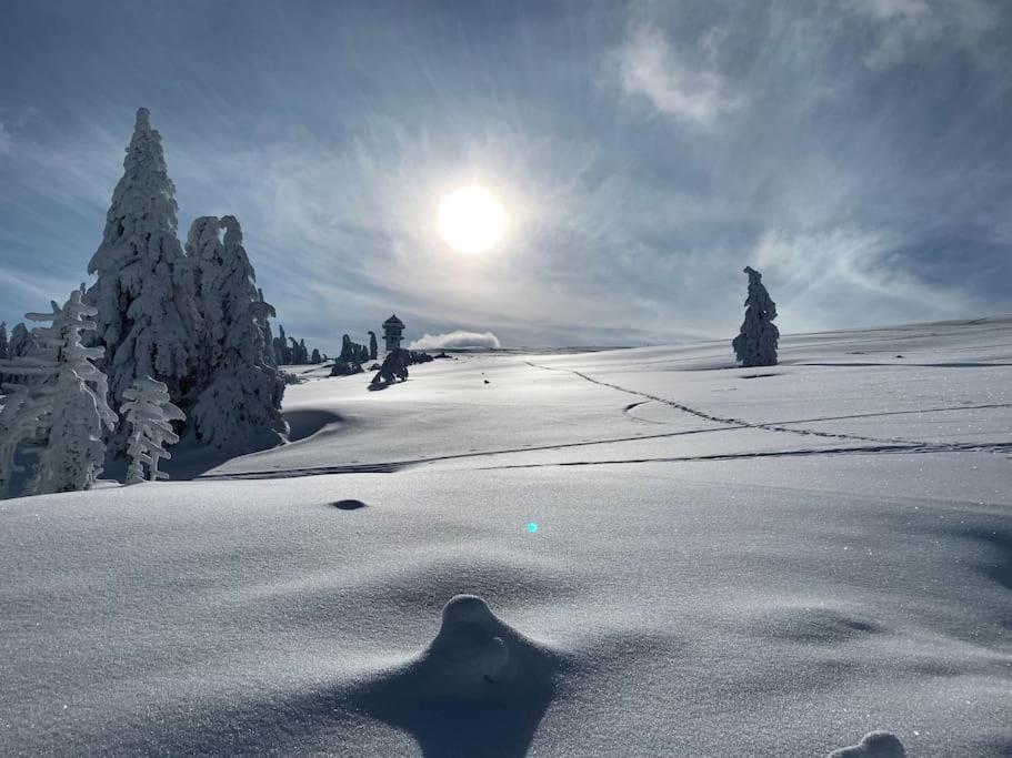 Stube9 Am Feldberg, Direkt An Der Skipiste, Ski In-Ski Out Фельдберг Экстерьер фото